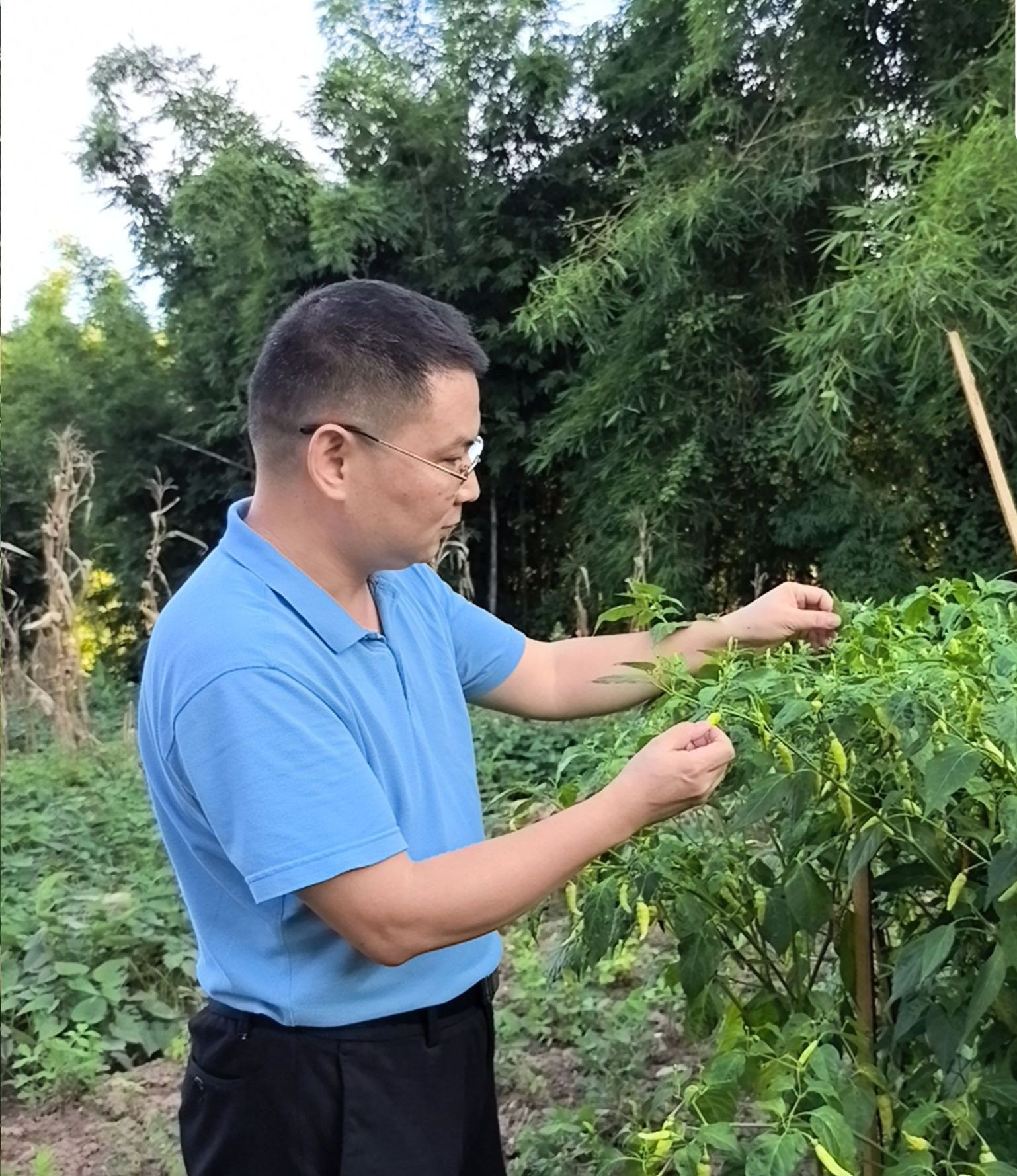 广东省农村科技特派员团队赴韶关市三溪镇种植企业开展技术指导与服务